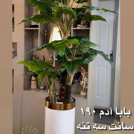 بابا آدم تنه سبز مصنوعی