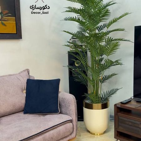 تصویر نخل شامادورا مصنوعی