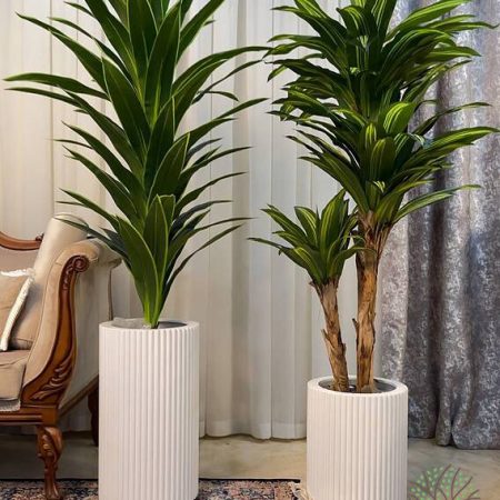 دراسنا مصنوعی