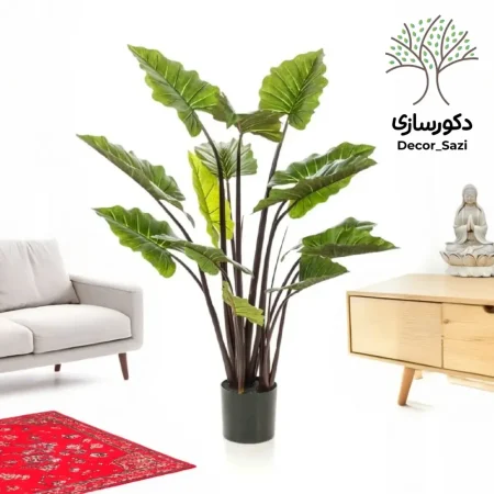 بابا آدم گوش فیلی مصنوعی