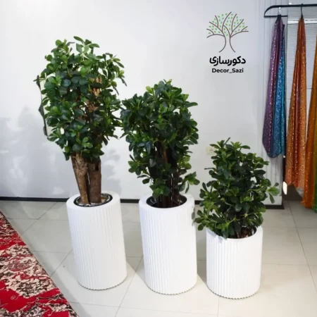 بونسای مصنوعی