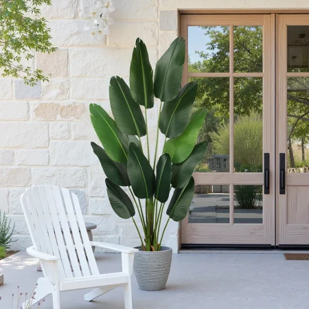 پرنده بهشتی