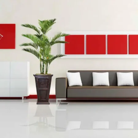 نخل کنتیا مصنوعی