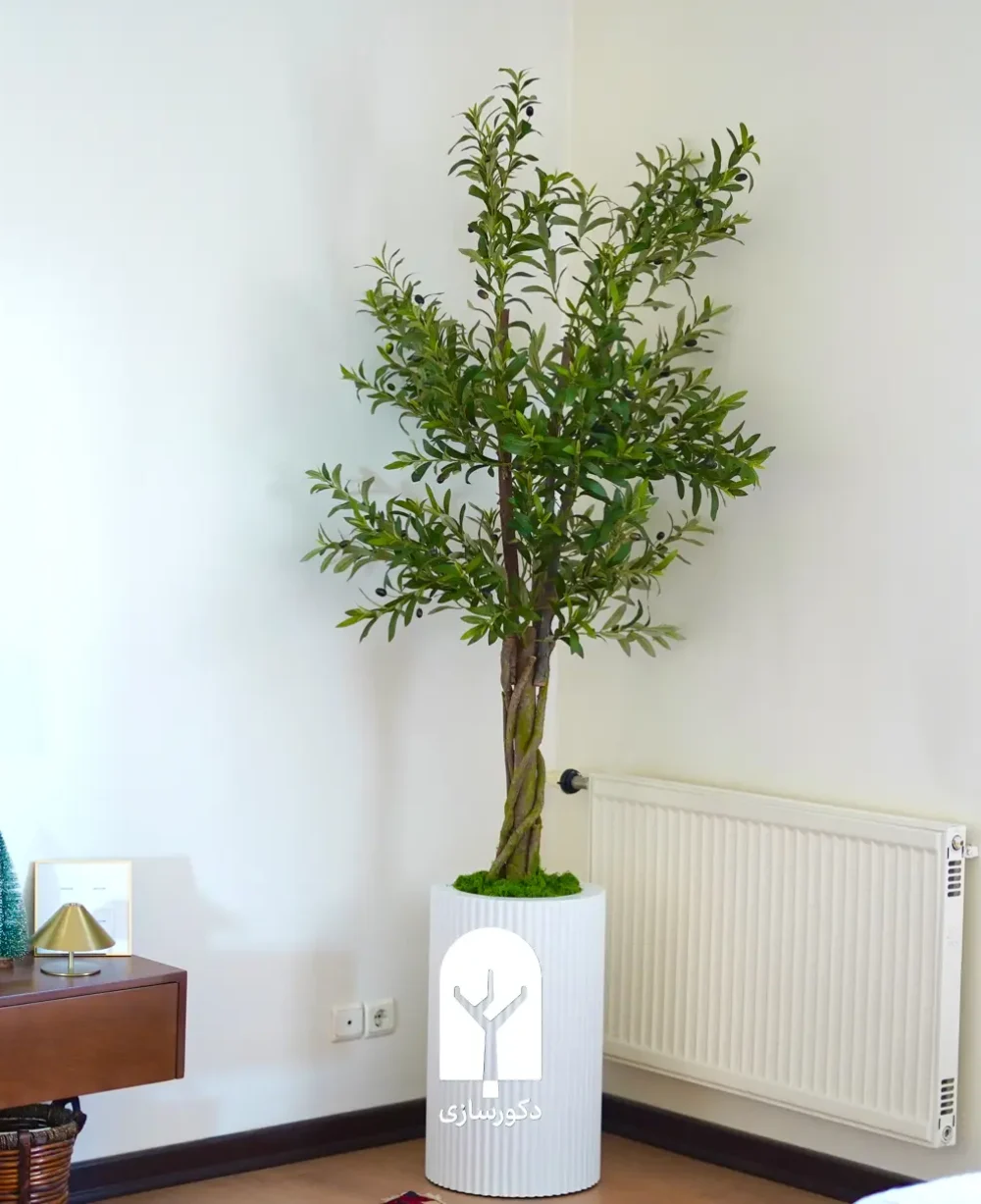 handmade olive tree in 60cm sleeve pot horizontal