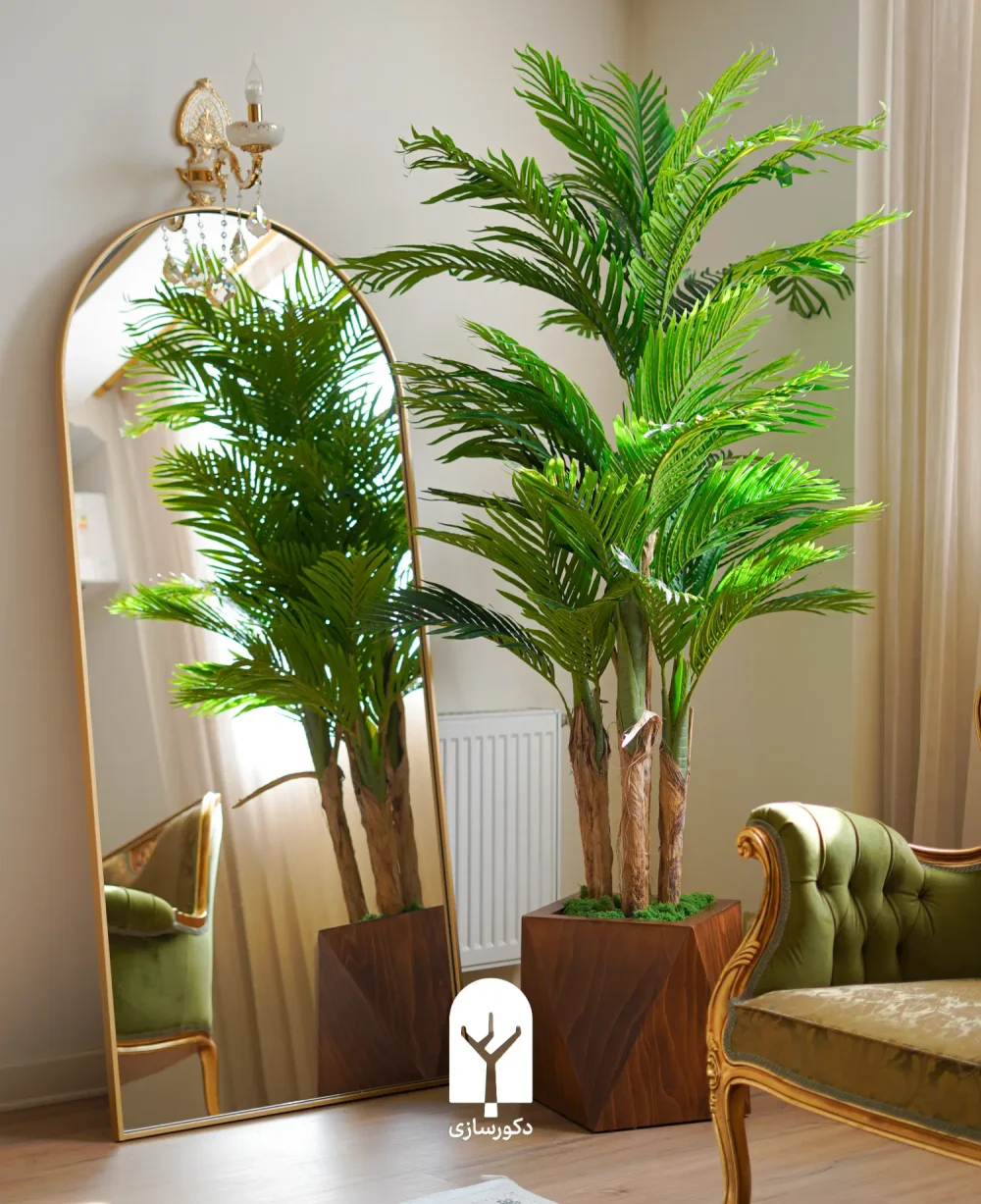 kentia palm 230cm in brown octagon pot