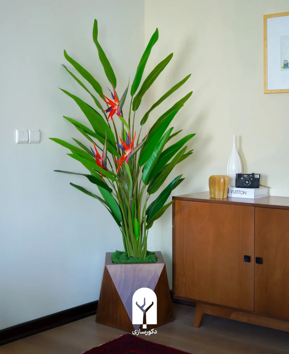 pineapple strelitzia 170cm in 40cm brown octagon pot